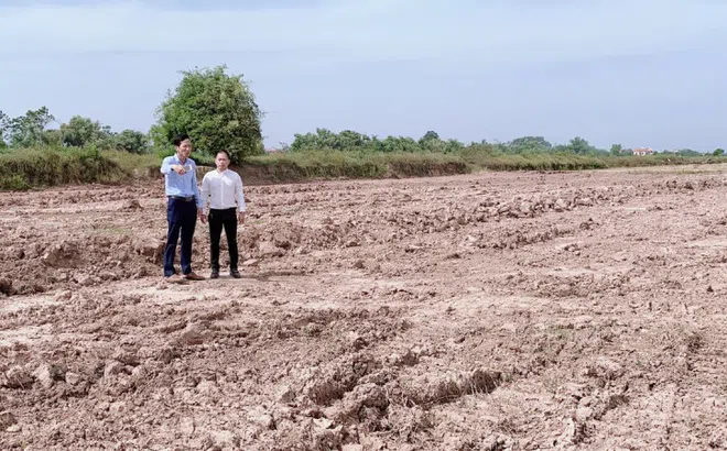 Lục Nam - Bắc Giang: Cần làm rõ tiền bán đất khiến ruộng đồng ở Tiên Nha hoang hóa