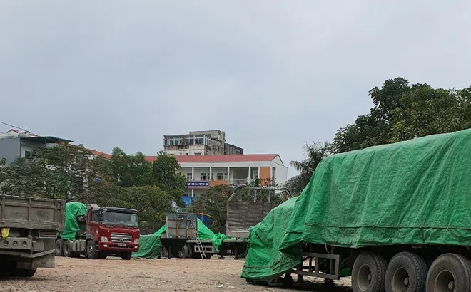 Hoàng Mai (Hà Nội): Ai đang quản lý, sử dụng sai mục đích hàng nghìn m2 đất tại phường Đại Kim