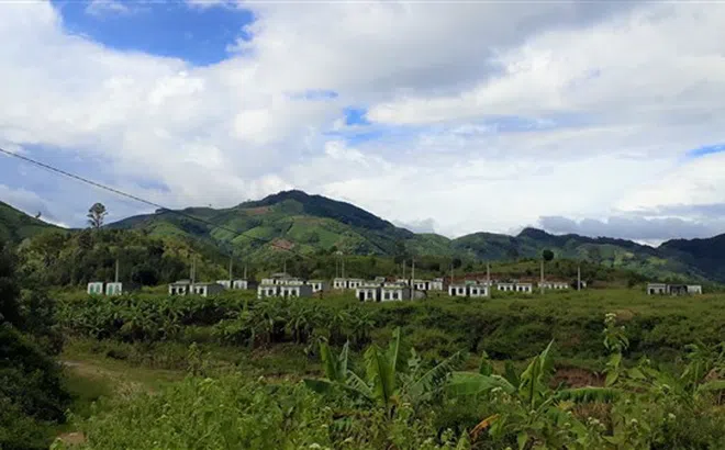 Huyện Đắk Glei, Kon Tum: Khu tái định cư hơn 15 tỷ thành nơi chăn thả gia súc