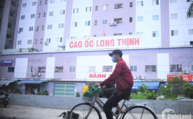Thanh tra TPHCM chỉ ra hàng loạt sai phạm tại công ty được giao đất nông nghiệp