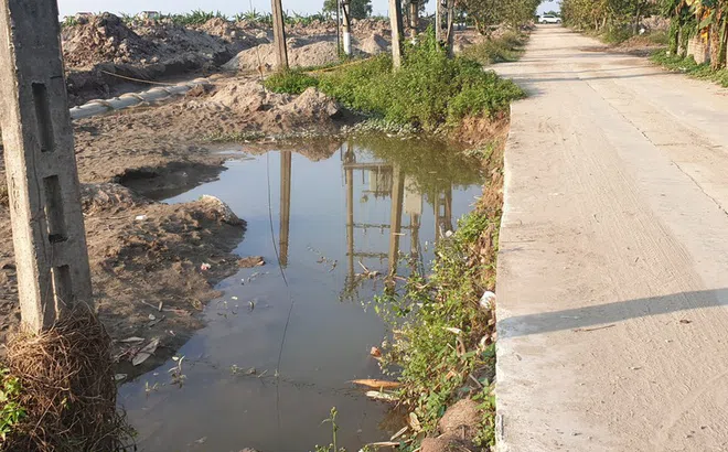 Kinh Bắc STAR bán “lúa non” dự án nhà ở Liên Ấp?