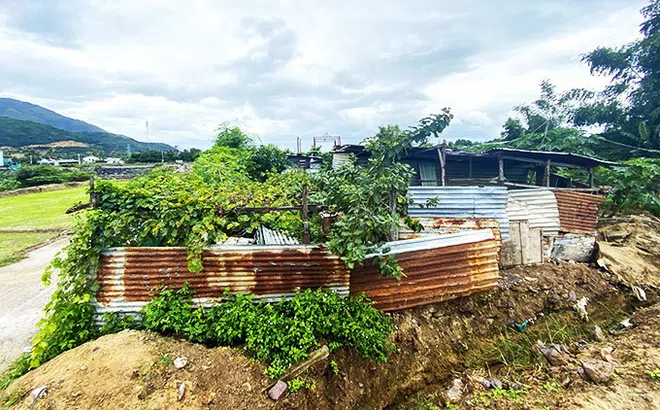 Lập hồ sơ giả để chiếm đất công