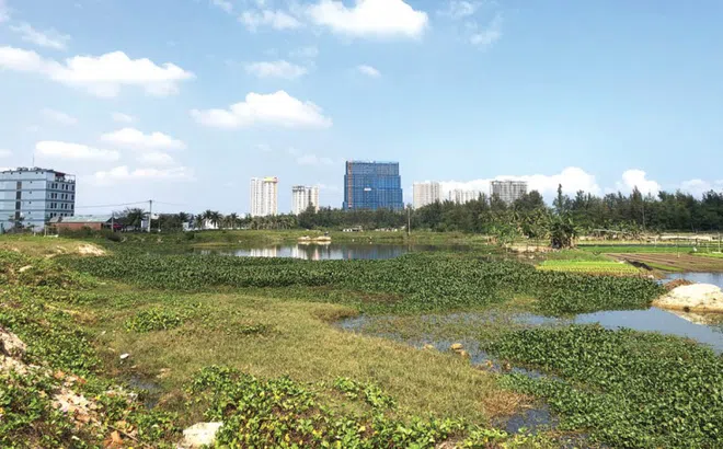 Những mảnh ghép “da beo” ven sông Cổ Cò