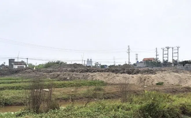Sunny Island bị khởi kiện ra trọng tài quốc tế liên quan dự án Phước Kiển