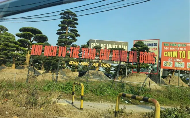 'Xẻ thịt' công viên cho thuê giá 'bèo'