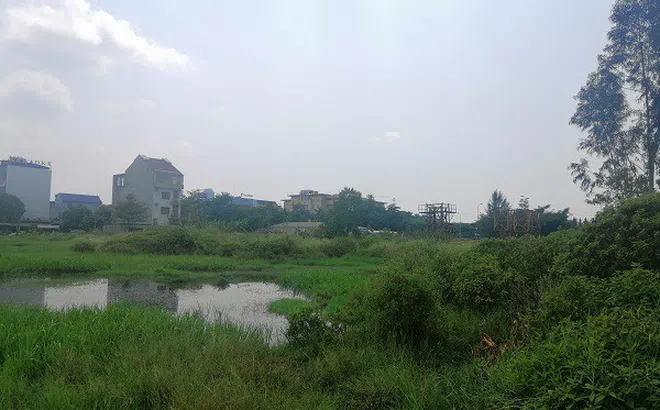 Thuduc House bị truy thu thuế gần 400 tỷ đồng khiến cổ phiếu liên tục lao dốc