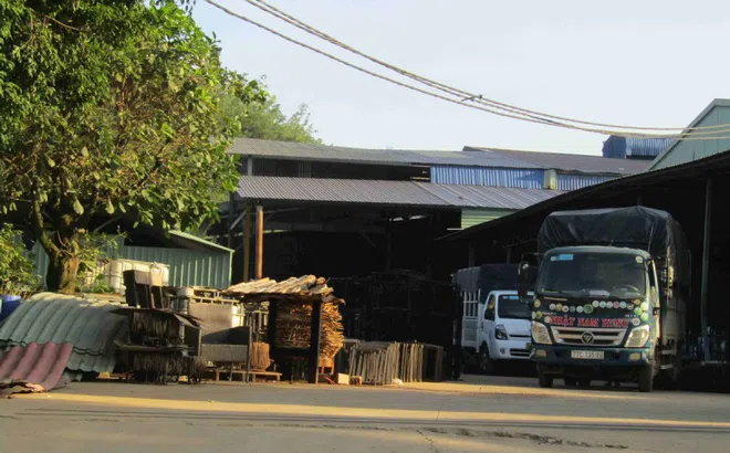 Bình Định: Công ty Nhật Nam Hưng tiếp tục bị xử phạt do xây dựng công trình không phép