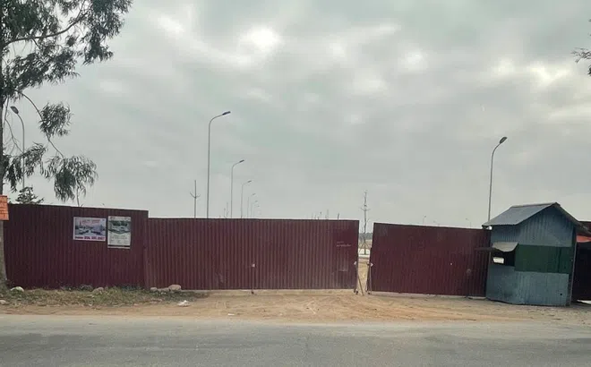 Thuduc House báo lỗ 30 tỷ đồng sau lùm xùm nợ thuế 400 tỷ