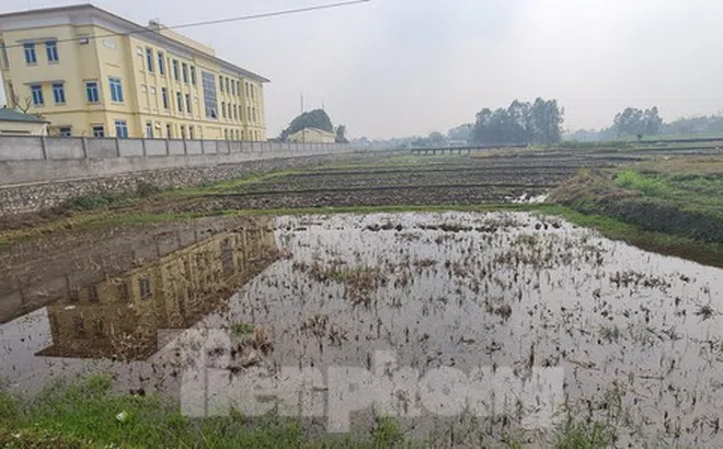 Dự án khu đô thị hơn 4 nghìn tỷ ‘bất động’, nhà đầu tư lao đao