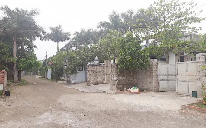 Cẩm Phả (Quảng Ninh): Phát hiện xóm tự phát trên phường Cửa Ông