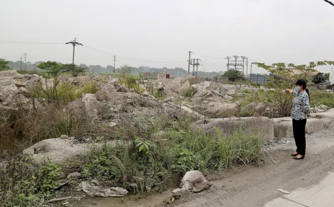 Hà Nội: Dân bức xúc vì dự án cây xanh thành nhà máy rác